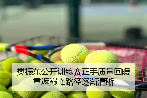 樊振东公开训练赛正手质量回暖 重返巅峰路径逐渐清晰