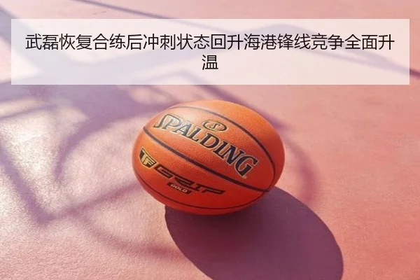 武磊恢复合练后冲刺状态回升海港锋线竞争全面升温